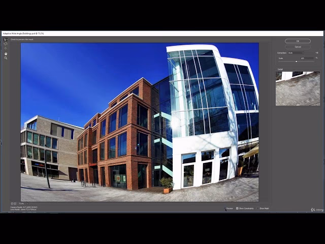 What is an adaptive wide-angle?