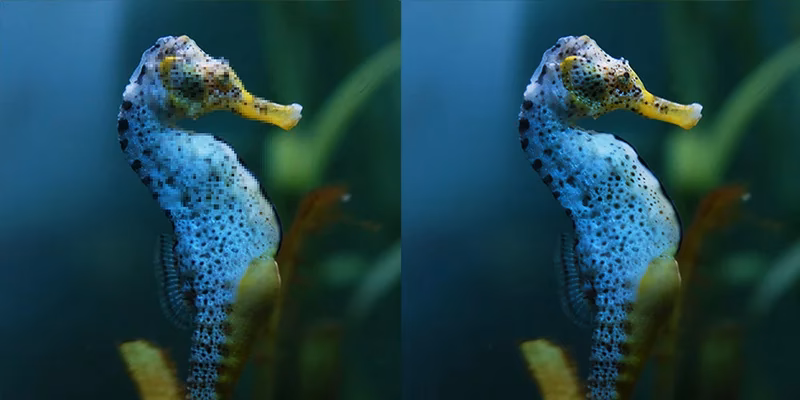 What does removing JPEG artifacts do?