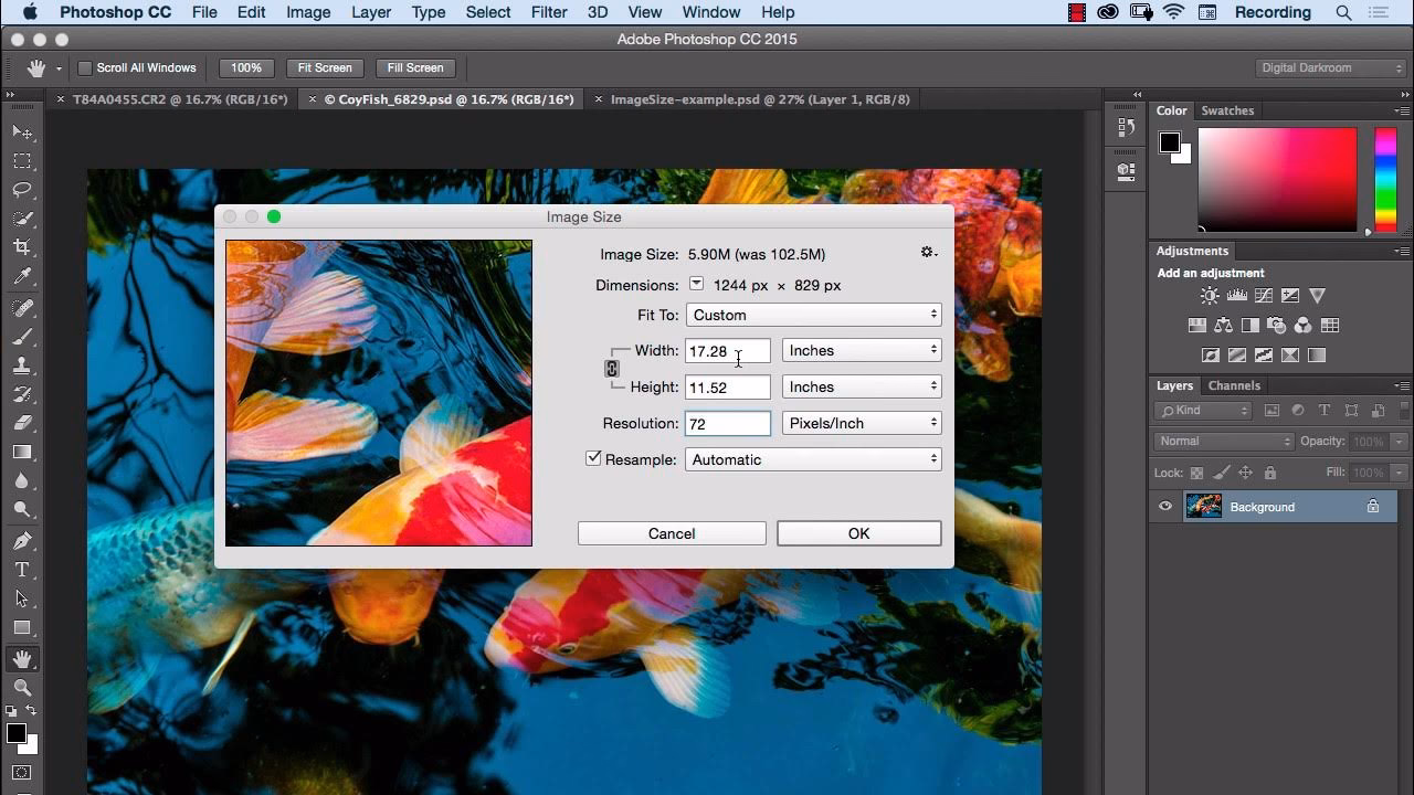 How many GB is Adobe Photoshop?