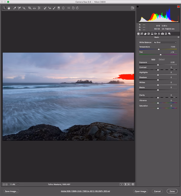 Does Photoshop Elements support Camera Raw?