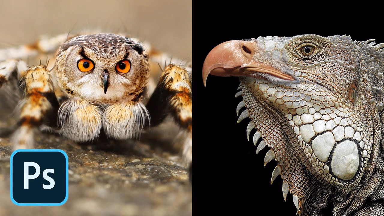 What is it called when you mix two animals together?