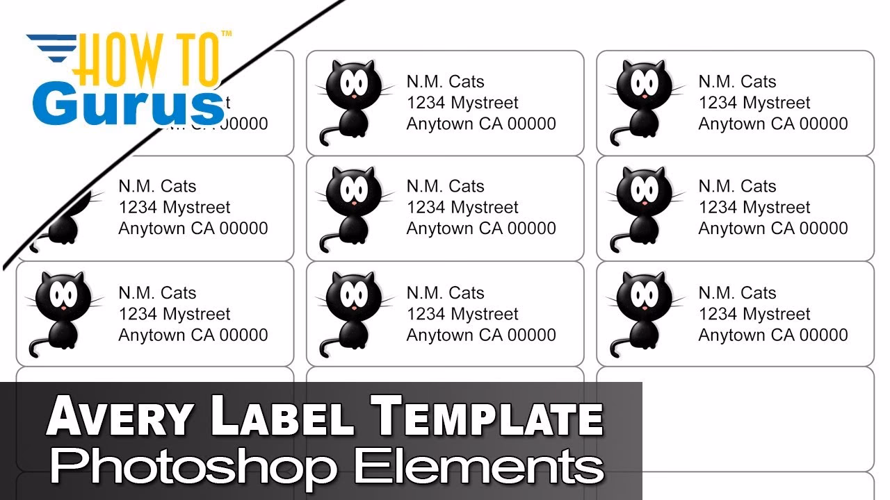 How to get free Avery templates?