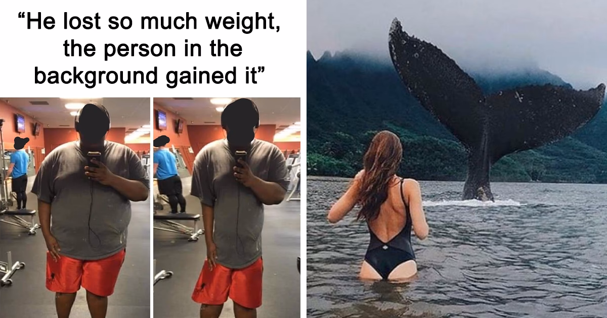 What is the alternative to Photoshop reddit?