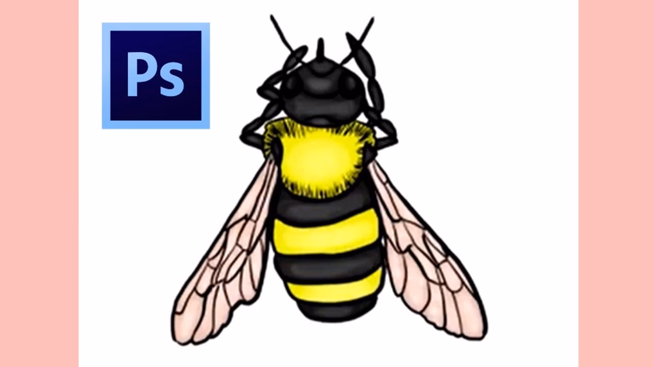 What is the 3 feet 3 mile rule for bees?