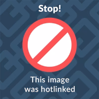 Wie genau sind Luxmeter Apps?