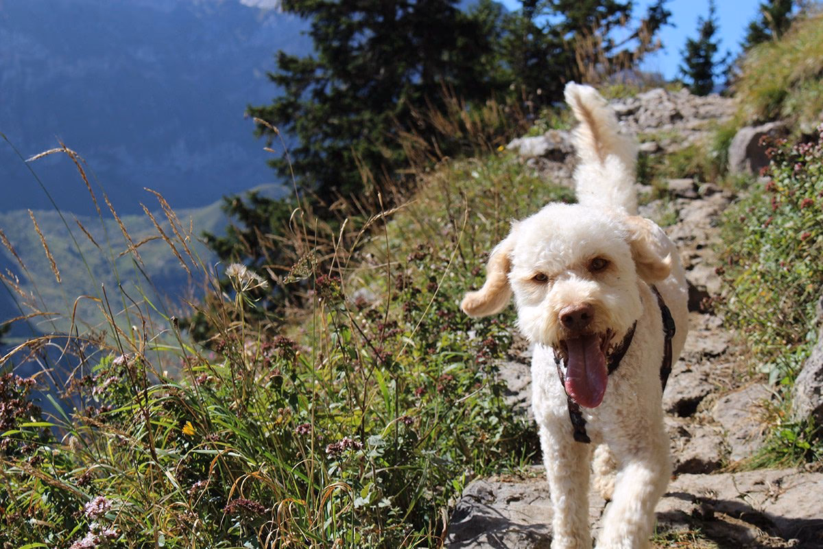 Welche Belichtungszeit bei Bewegung?