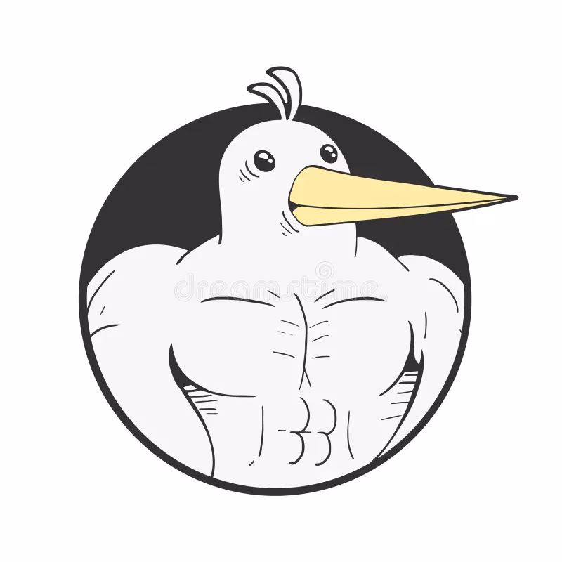 Why is bird muscle white?