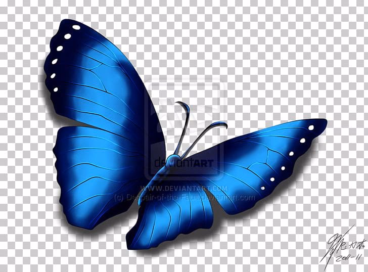 What is the blue butterfly effect?