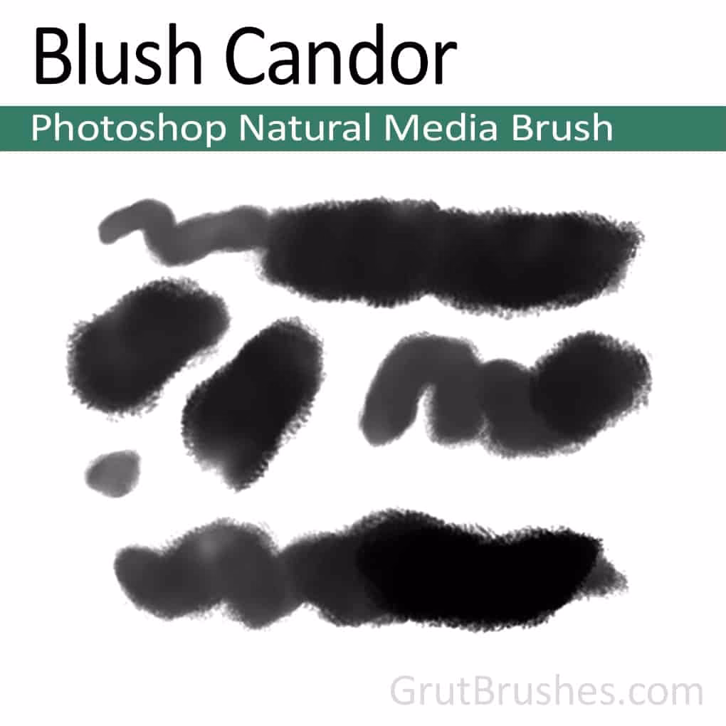 How to put blush on a picture?