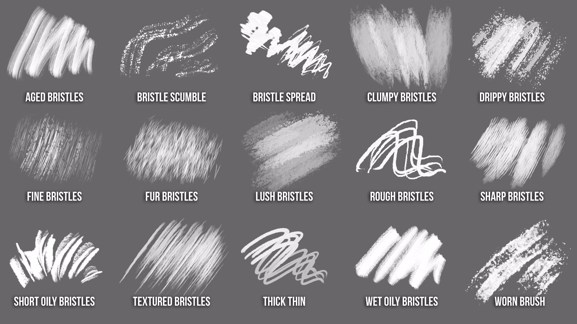 What is the meaning of bristle brush?