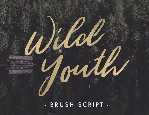 Is the brush script font free for commercial use?