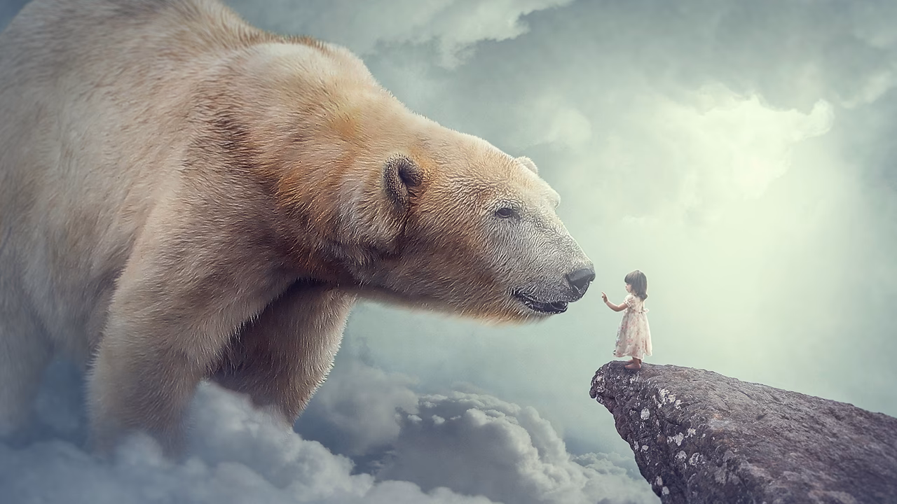 Hvad har Bubber gjort?