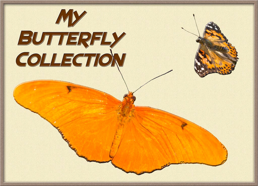 Why can't I use the Camera Raw filter in Photoshop?