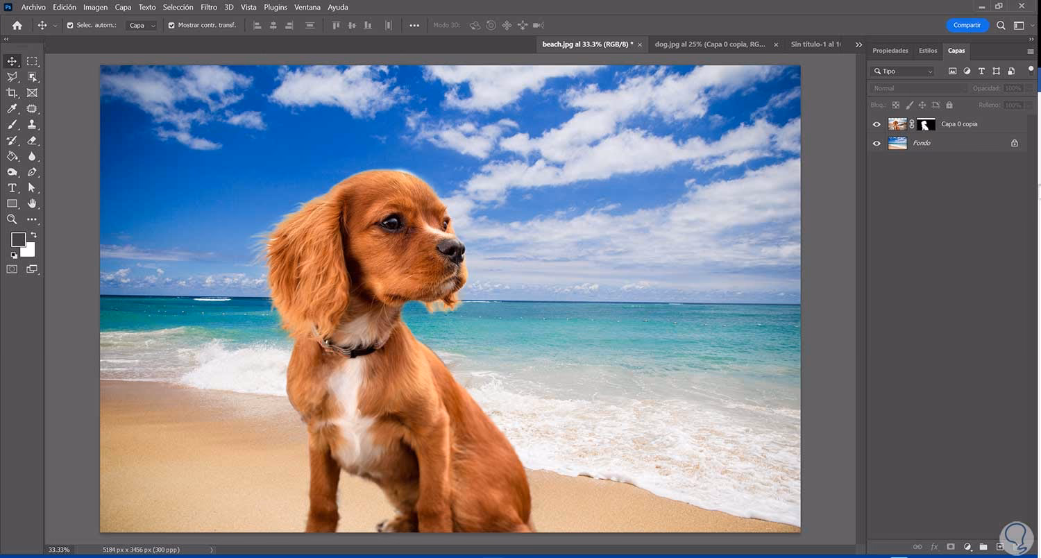 ¿Cómo cambiar el fondo en Photoshop Express?