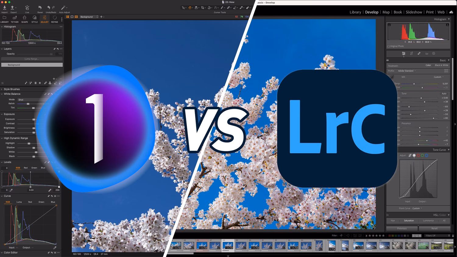 Do professional photographers use Capture One?