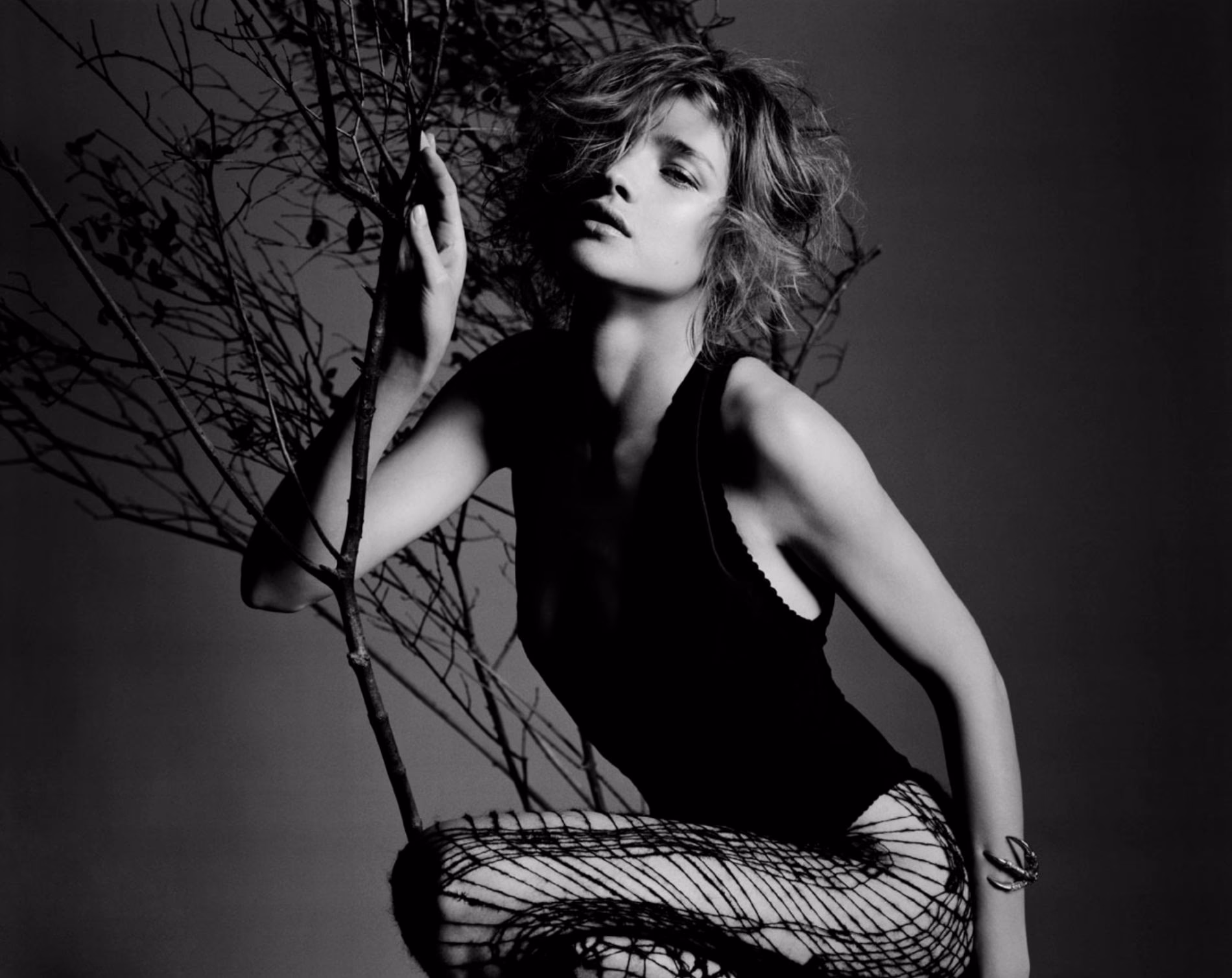 Hvordan fungerer et fotografi?