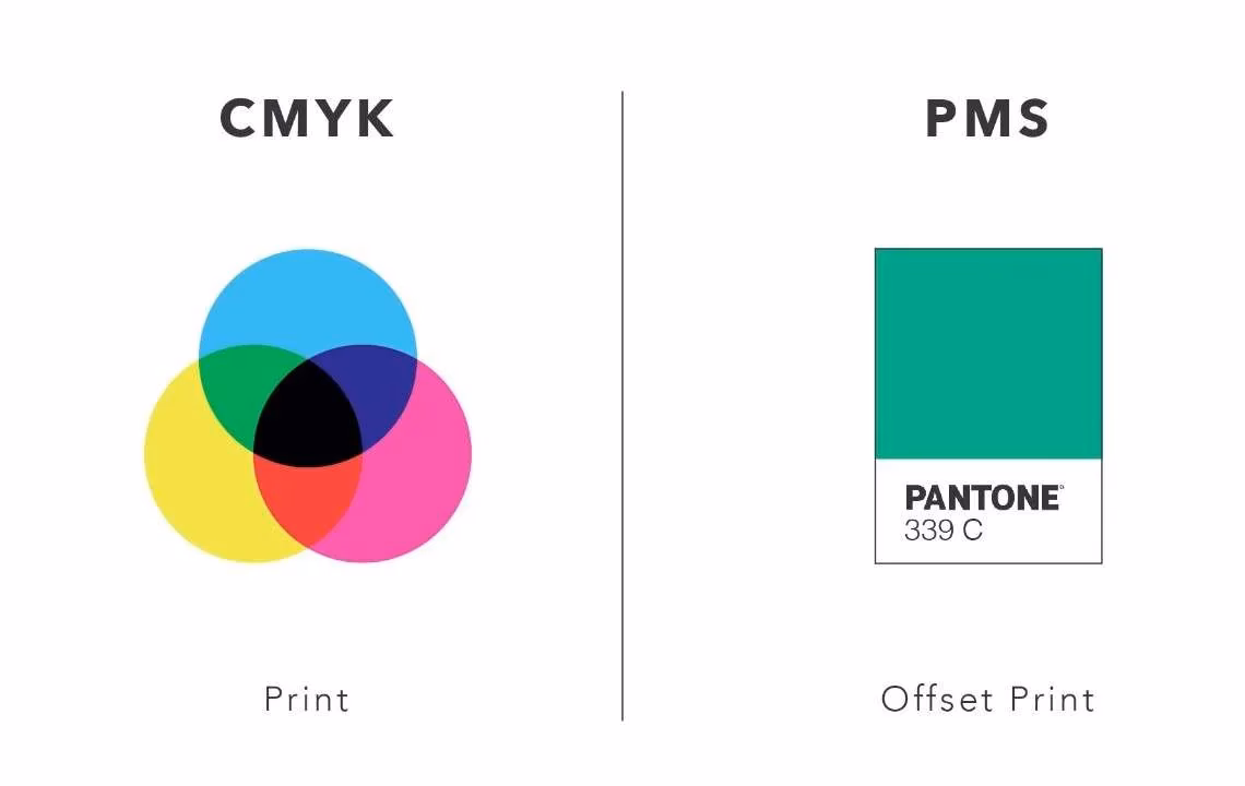 Why did Adobe remove Pantone?