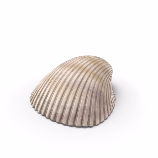 What is a good substitute for cockles?