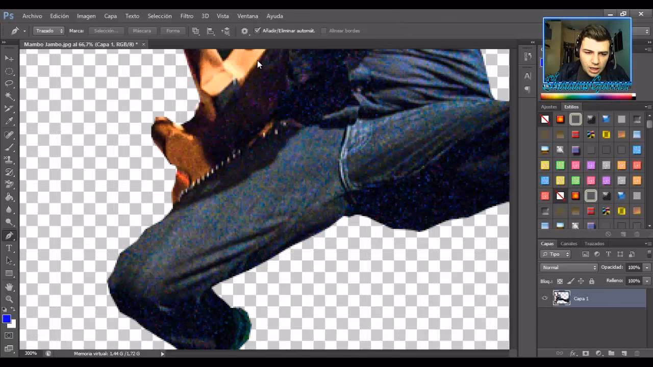 ¿Cómo recortar una imagen con pelos en Photoshop?