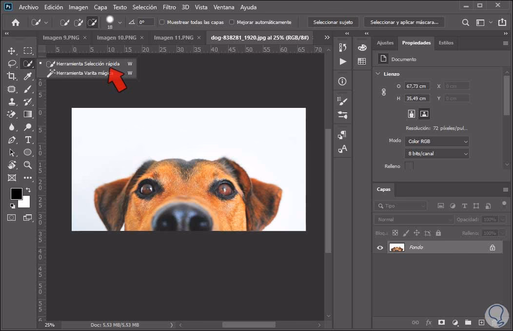 ¿Cómo puedo poner un fondo blanco en Photoshop?