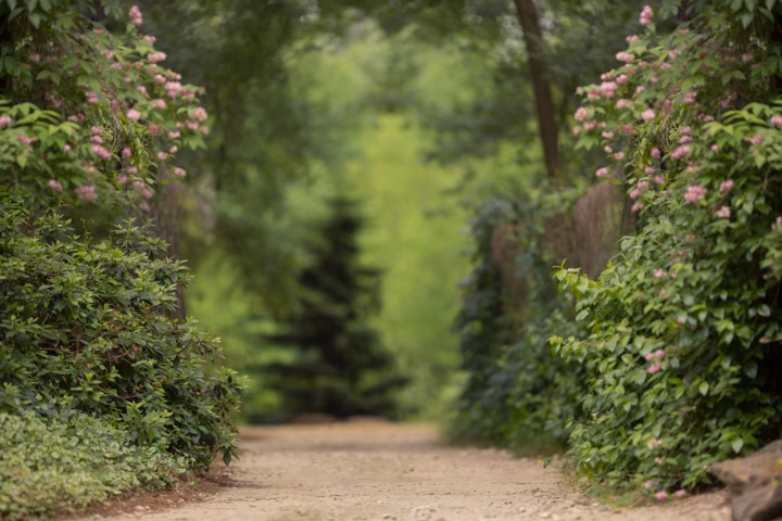 Are digital backdrops worth it?