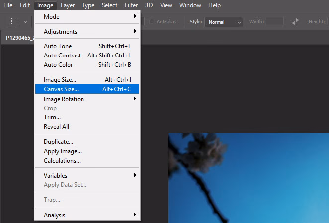 ¿Cómo puedo reducir el tamaño de una imagen en Photoshop?
