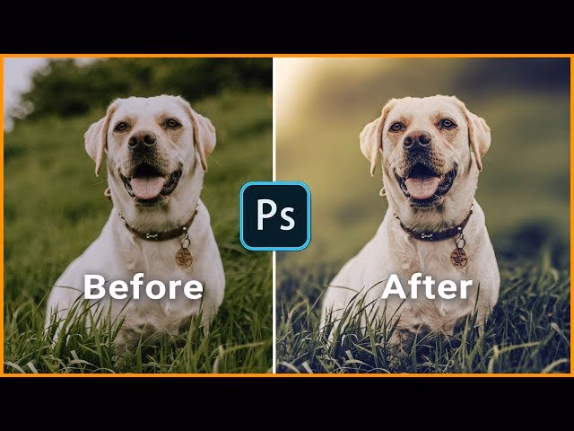 How to make digital dog art?