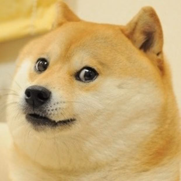 Is the doge photo real?