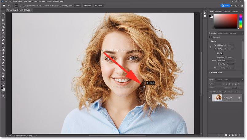 How to drag zoom in Photoshop?