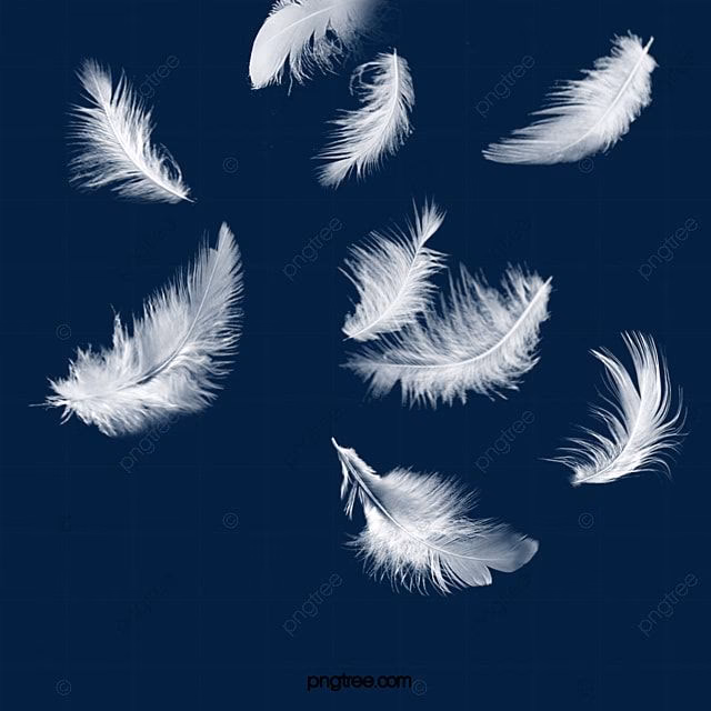 How to do feather selection in Photoshop?