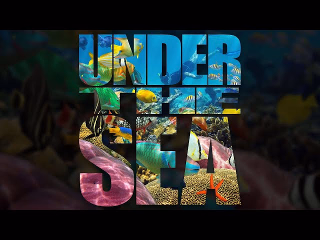 How to put a picture behind text in Photoshop?