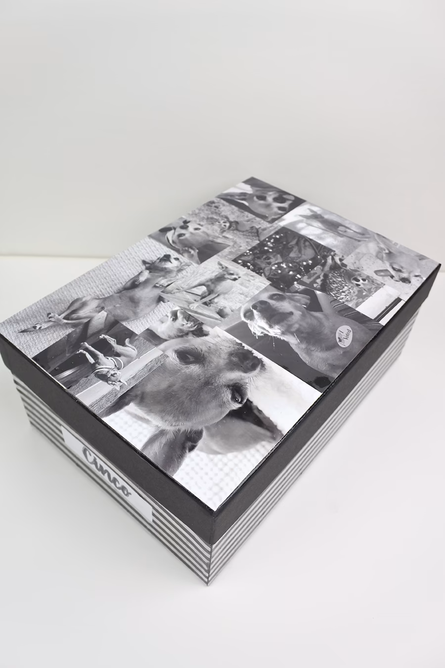 Can you put modge podge over glossy photos?