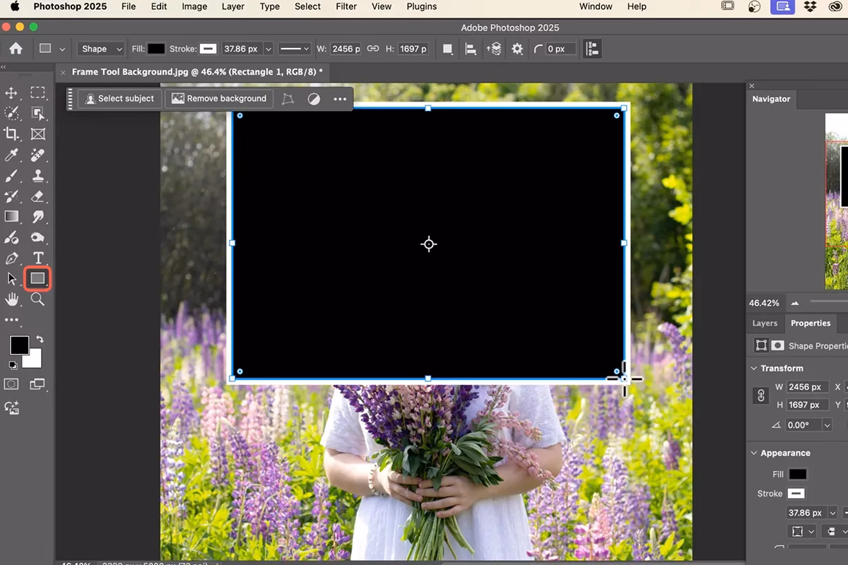 What is the difference between fill and stroke in Photoshop?