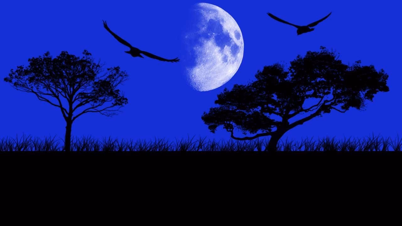 Is there a virtual landscape design app?