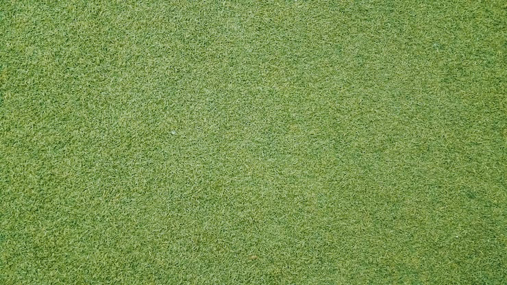 What is the texture of fake grass?