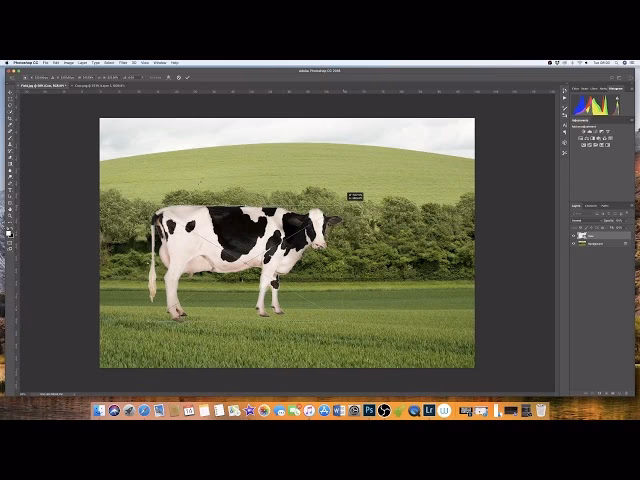 How do I insert a picture to another picture?