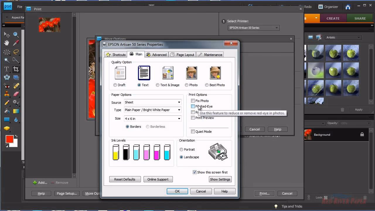 How to calibrate a printer Epson?