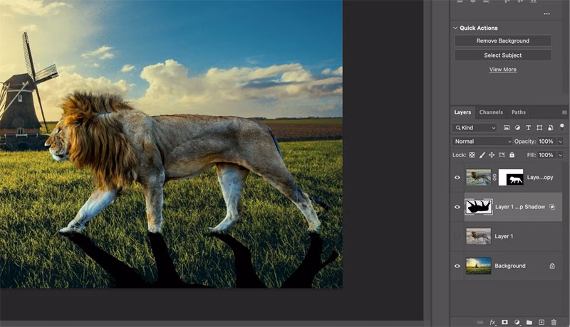 Does Photoshop Elements have photo stacking?