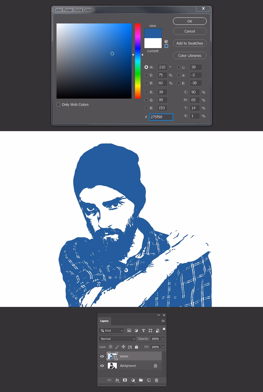 Can you vectorize a rasterized image?