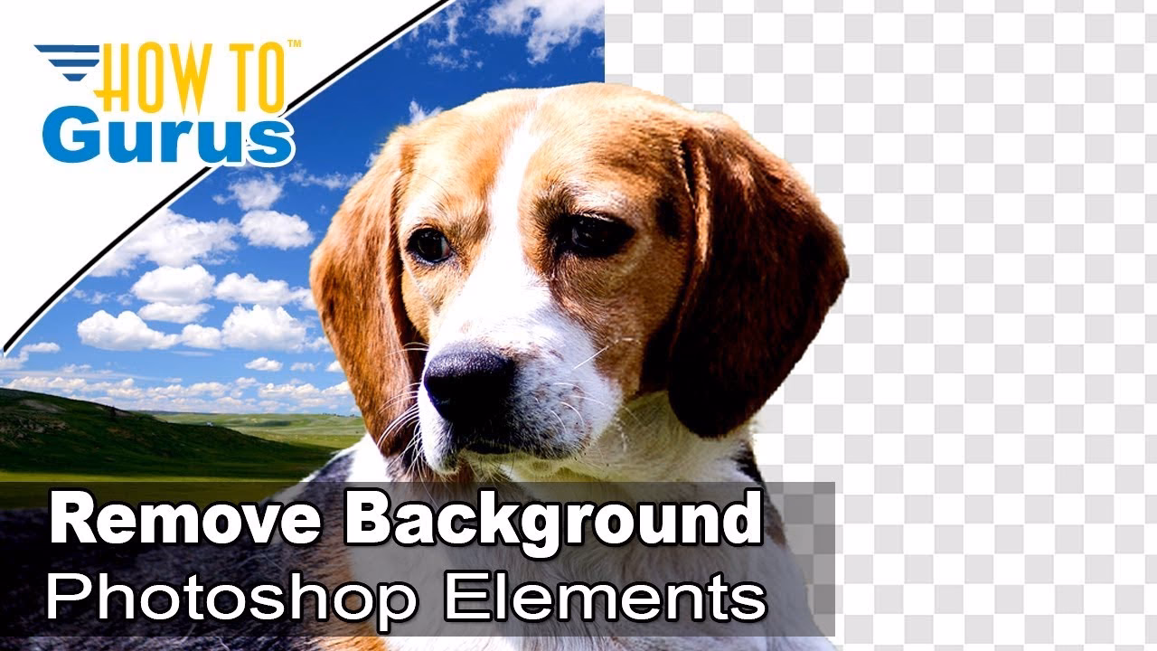 How to change background in Photoshop Elements?