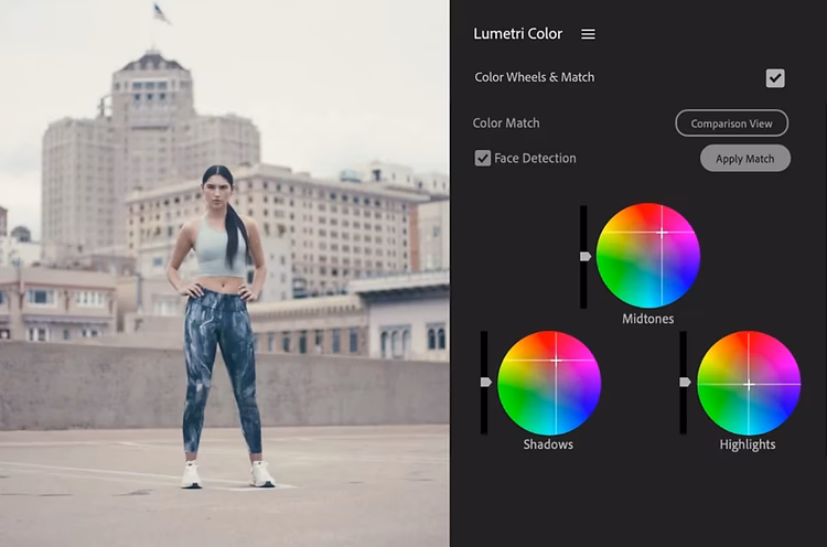 How do I reset color correction in Premiere Pro?