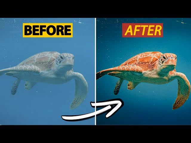 Why are my underwater pictures blue?