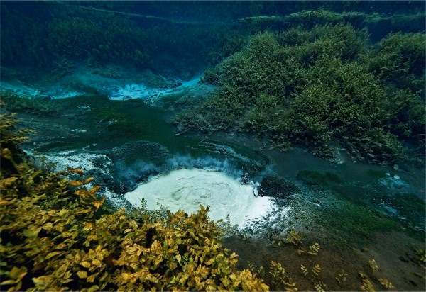 Hvad hedder de tre kildetyper?