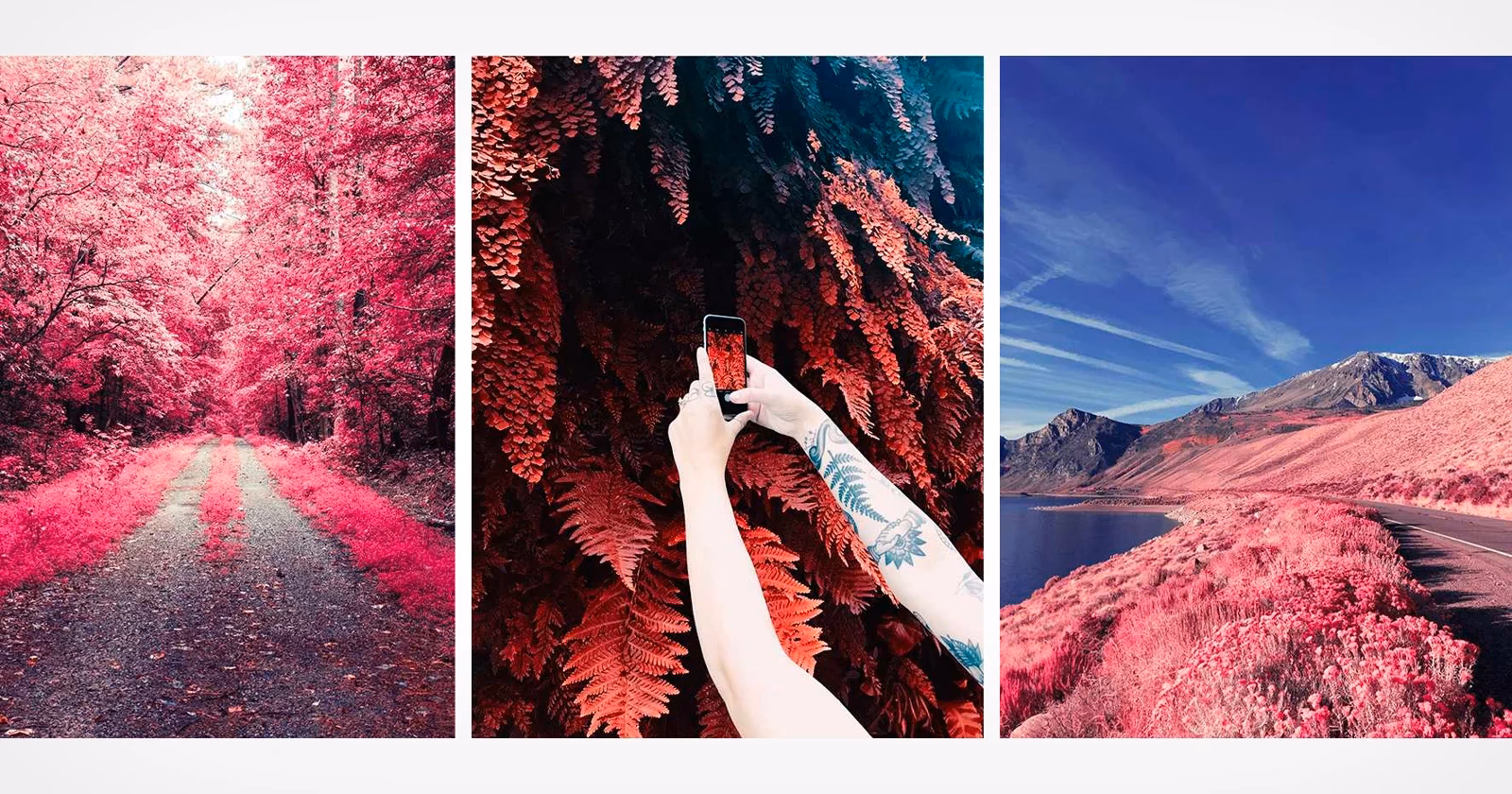 How to do infrared photography in Photoshop?