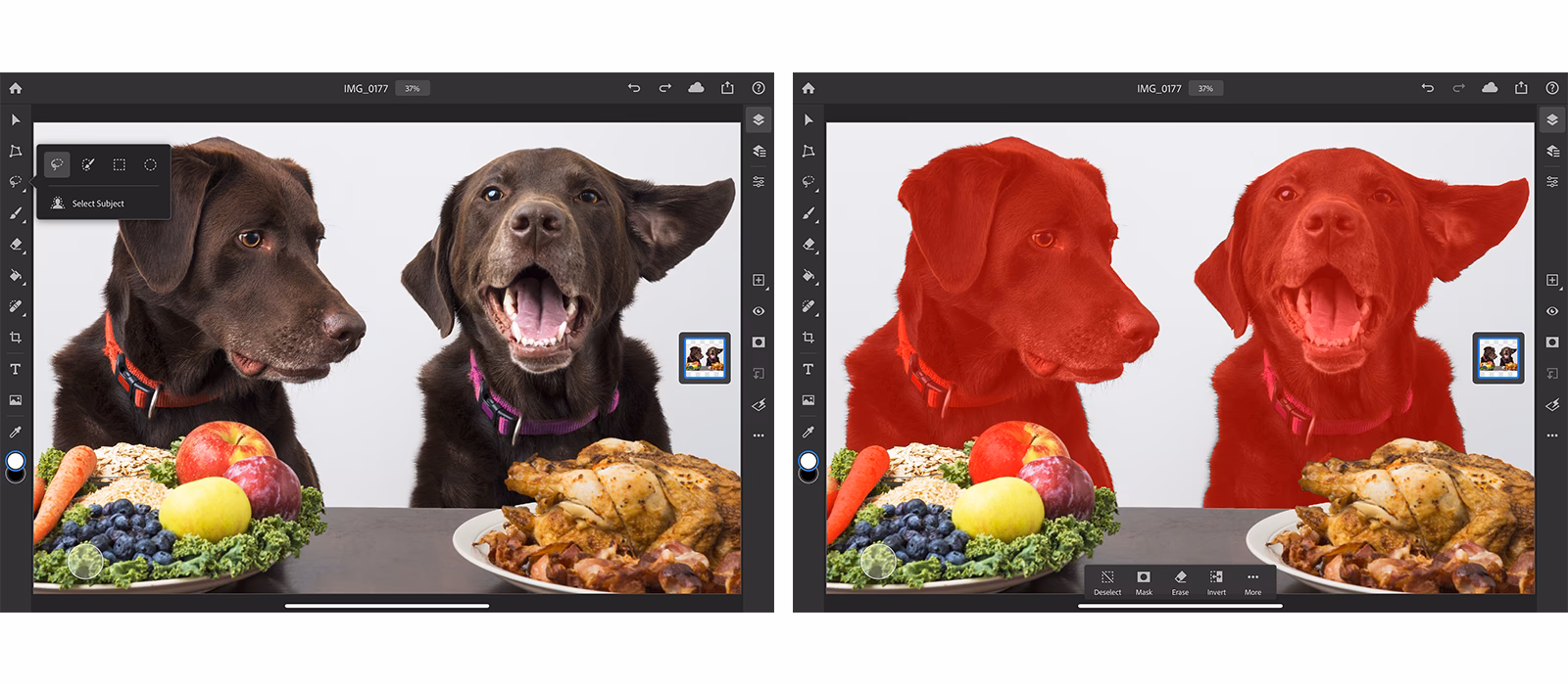 How can I use my iPad as a dog monitor?