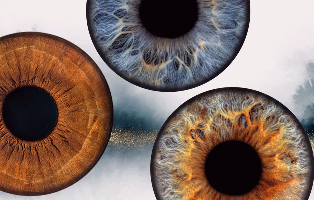 Was kostet Iris Fotografie bei Aida?