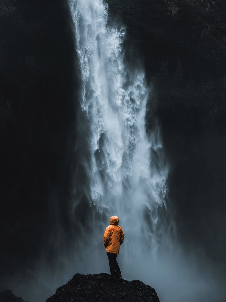 Hvor mange penge har Gulddreng tjent?