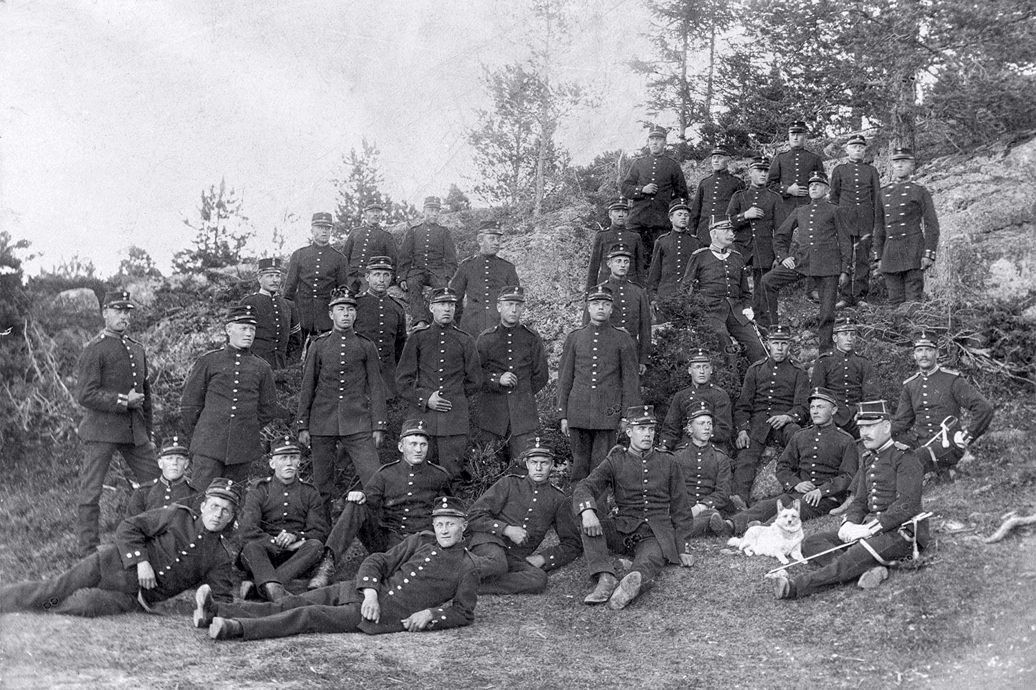 Hur många hemvärnssoldater finns det i Sverige?