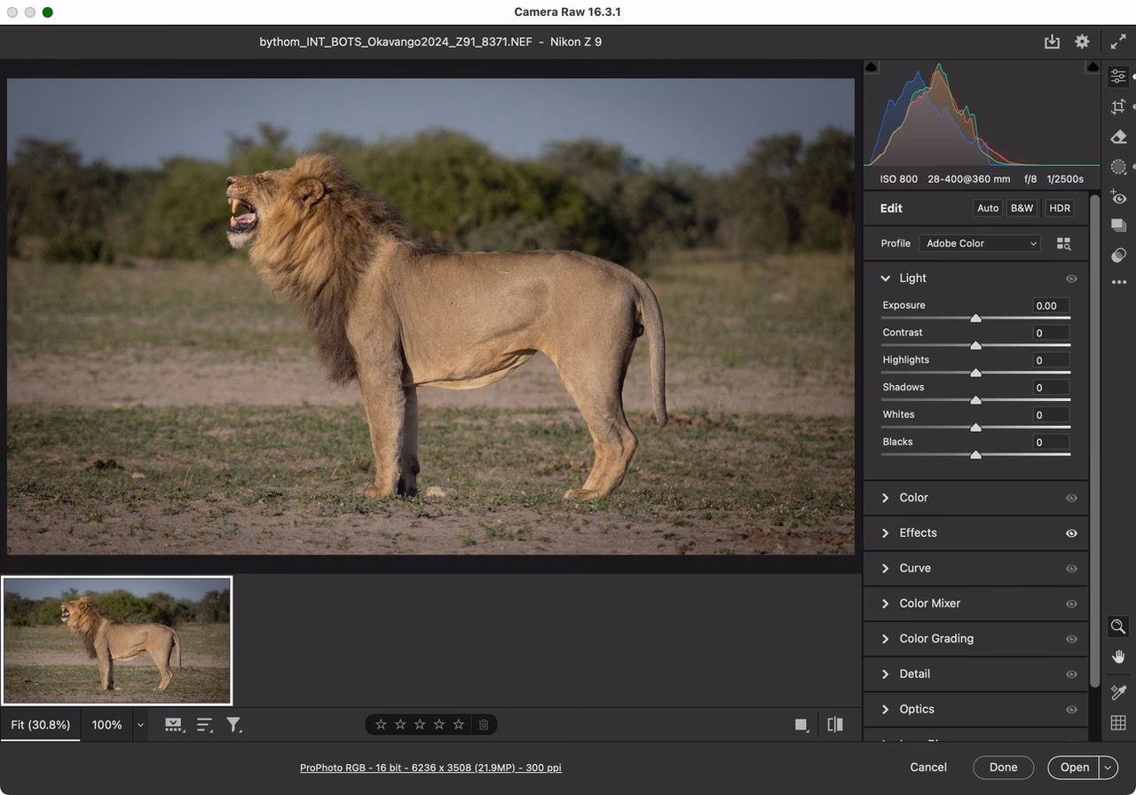 How do I edit Nikon RAW?