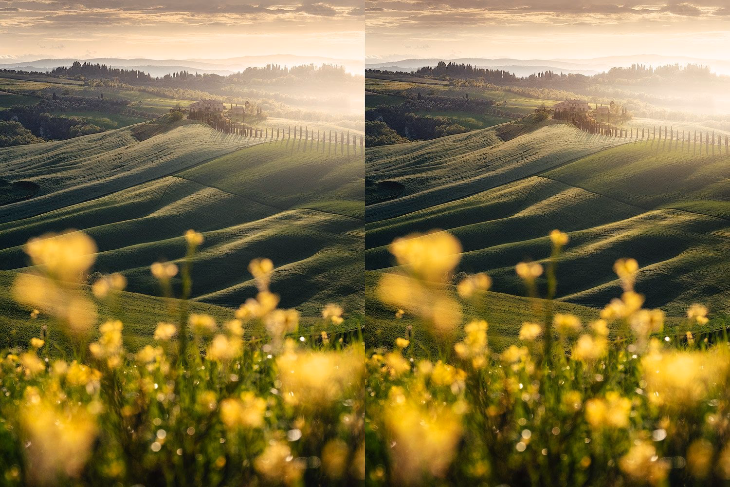 What is the Orton Effect in Photoshop?